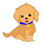 Family member Max - Nuff's dog